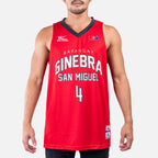 GINEBRA-ABARRIENTOS