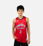 GINEBRA-ESTIL