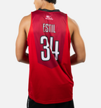 GINEBRA-ESTIL